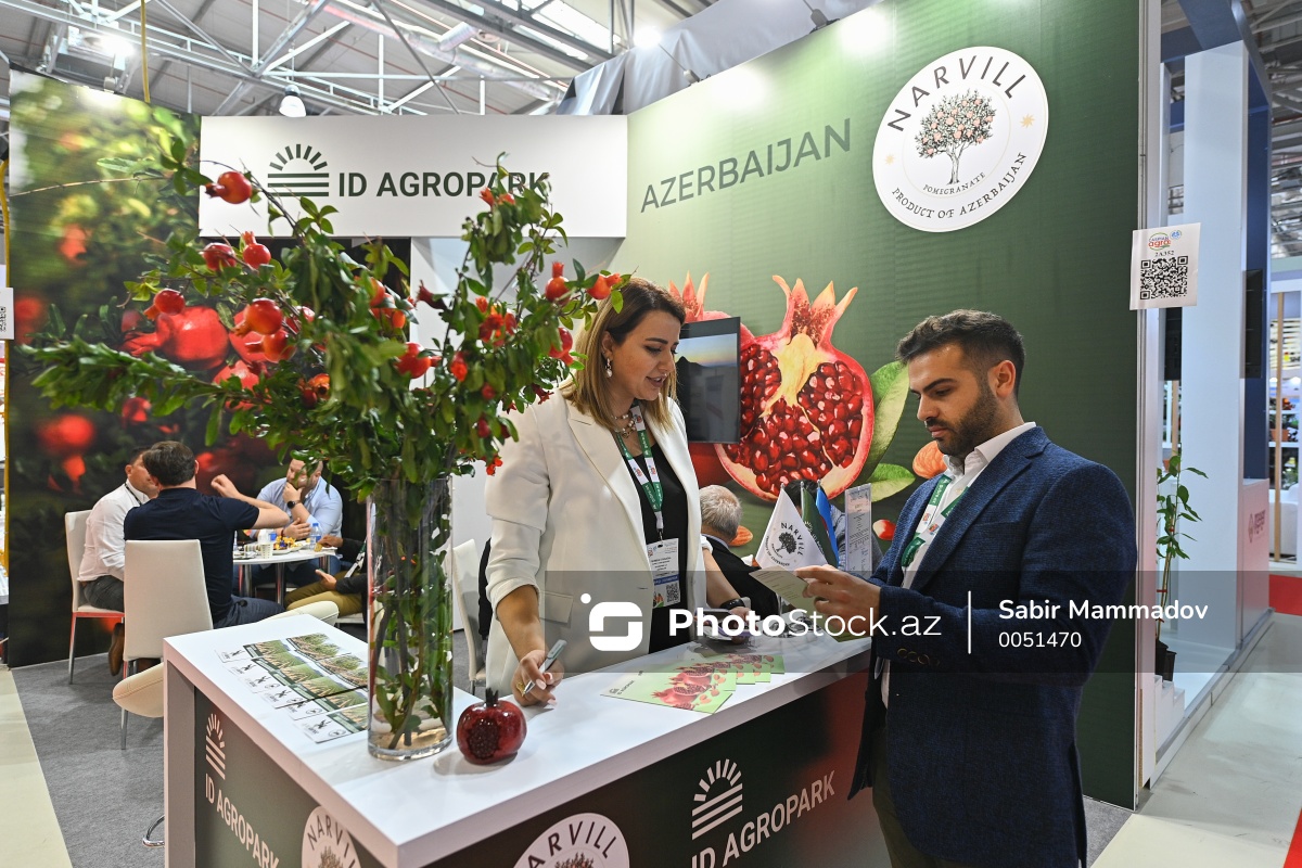 Цветные коконы и биогаз из фекалий. Репортаж с выставки InterFood  Azerbaijan | Media.az