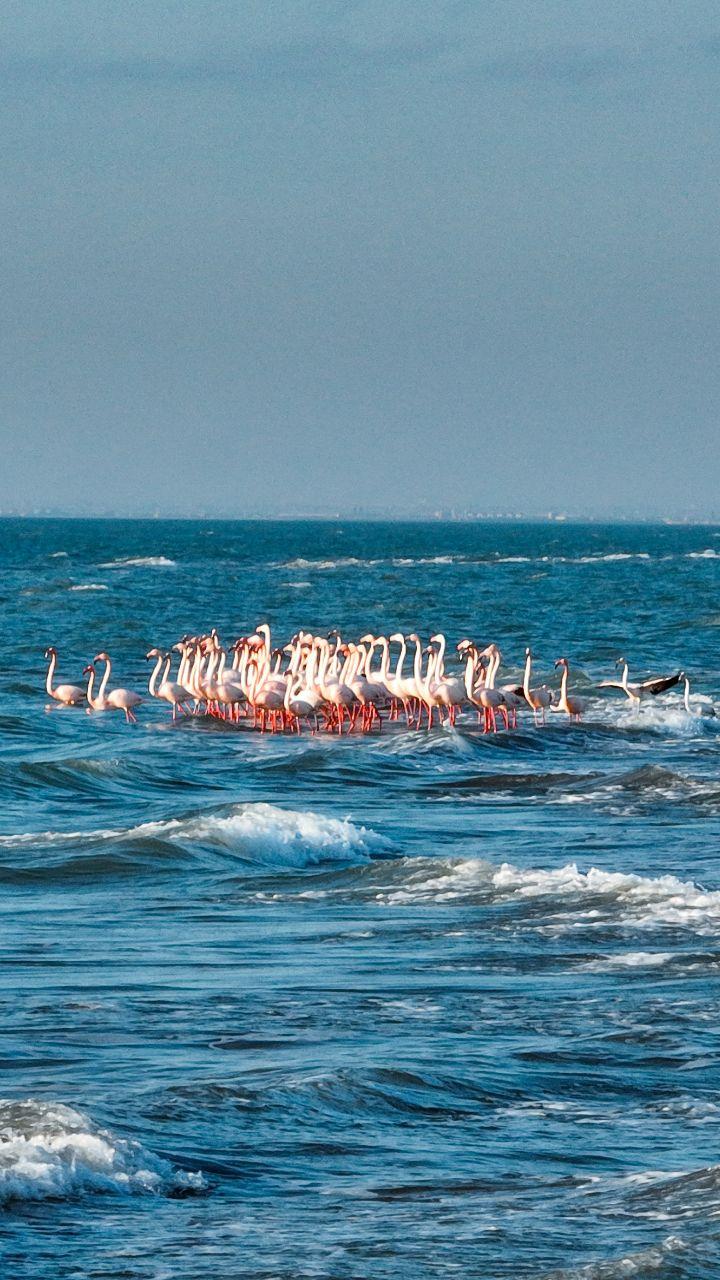 Когда отмечается морской день