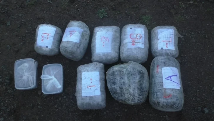 Media.az - Новости Азербайджана - В Баку задержаны подозреваемые в наркокурьерстве с 31 кг наркотиков
