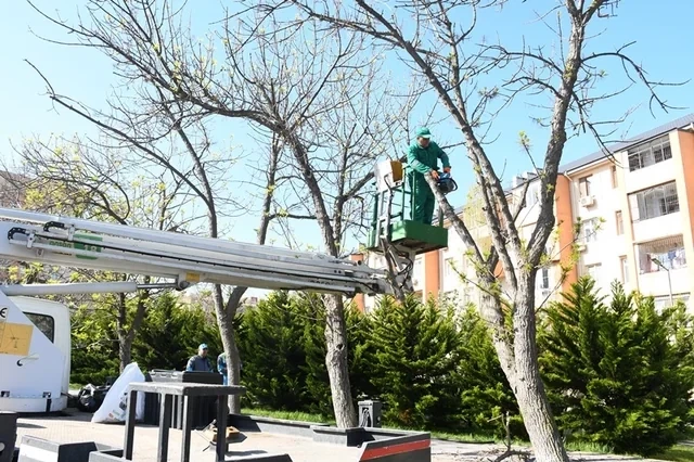 Media.az - Новости Азербайджана - В Баку прошёл масштабный субботник