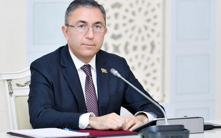 Таир Миркишили: В этом году в Азербайджане ускорится развитие ненефтяного сектора