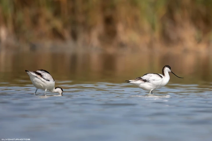 Названы самые посещаемые национальные парки Азербайджана