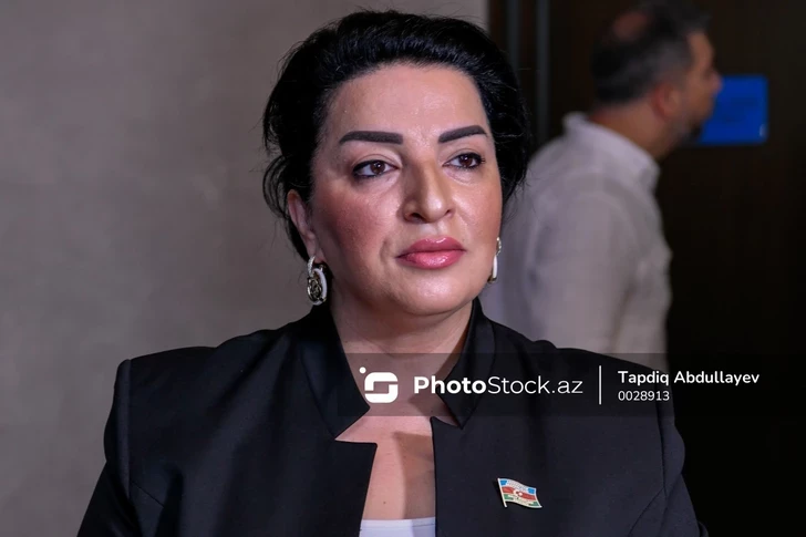 Депутат: Антитеррористические мероприятия 2023 года стали важнейшей страницей истории Азербайджана