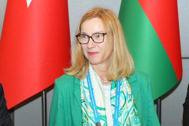 Media.az - Новости Азербайджана - В Баку состоялся международный форум органов финансовой разведки стран ОТГ