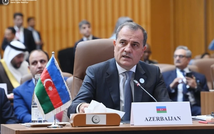 Джейхун Байрамов выступил на саммите ОИС