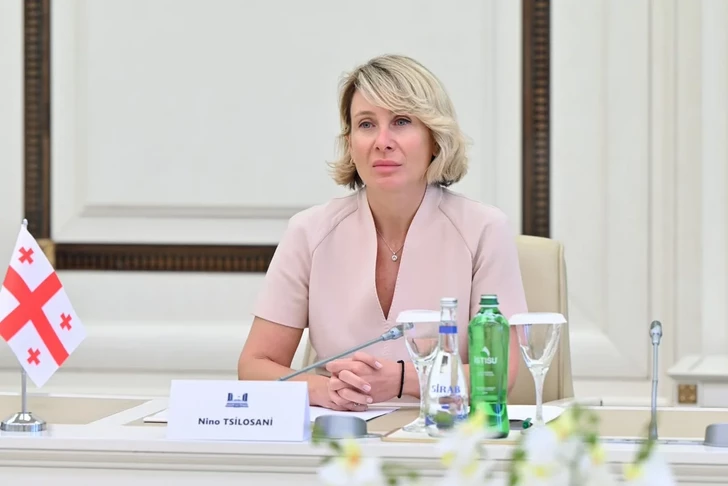 Media.az - Новости Азербайджана - В парламенте Грузии высоко оценили позицию Азербайджана по территориальной целостности страны