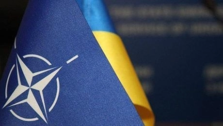 Раскрыты планы по приему Украины в НАТО