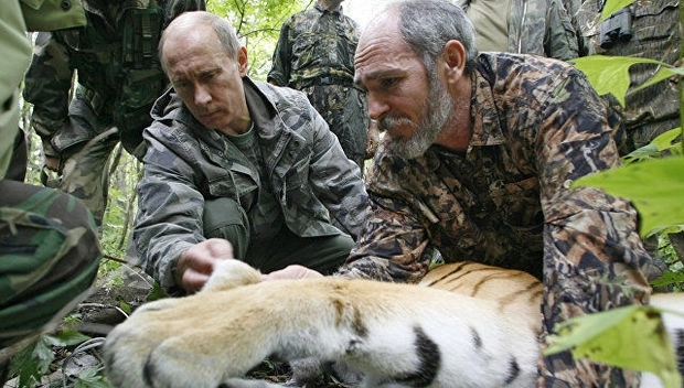 Французский телеканал выдал Путина за охотника на тигров