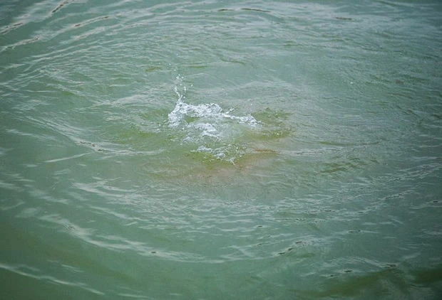 В Азербайджане парень утонул в канале