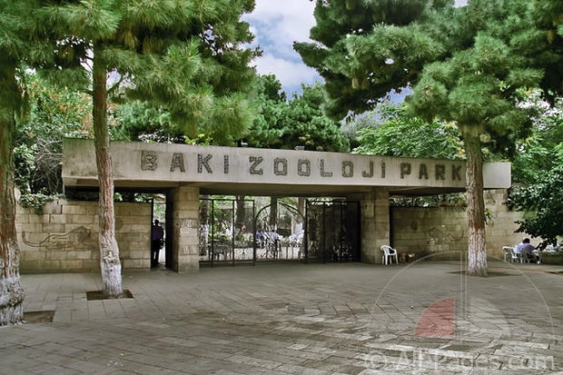 Бакинский зоопарк подготовился к зимнему сезону