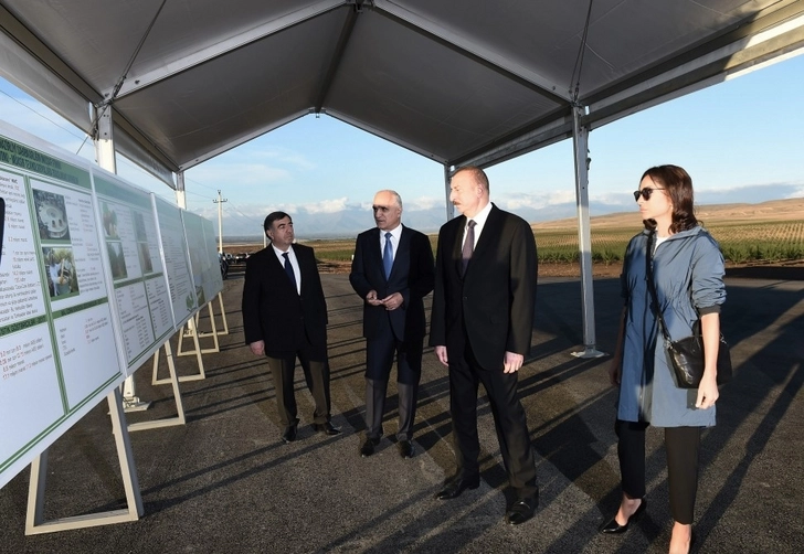 Ильхам Алиев принял участие в открытии Гахского агропарка ООО «Улу Агро» - ФОТО