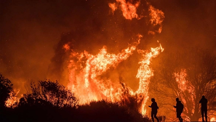 Пожар в Калифорнии назван самым разрушительным за всю историю штата - ВИДЕО