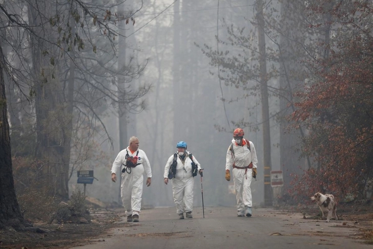 Воздух в Калифорнии стал самым загрязненным в мире