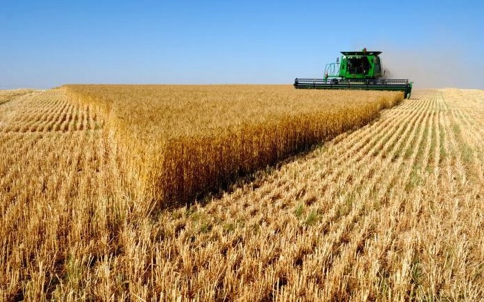 В Азербайджане создан сельскохозяйственный кооператив