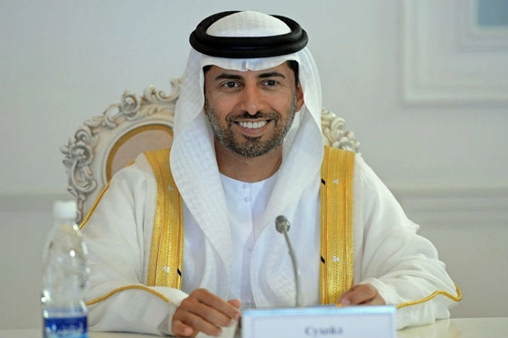 Министр энергетики ОАЭ: ОПЕК+ надеется на ликвидацию избытка нефти на рынке в I квартале