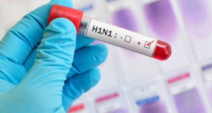 Число жертв свиного гриппа в Грузии достигло 17 человек