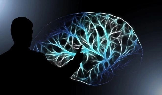 Ученые назвали способ омоложения мозга в любом возрасте