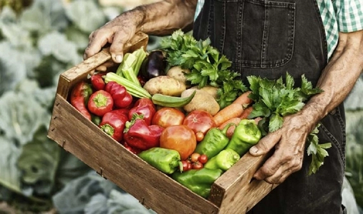 Азербайджанские фермеры будут производить «честную» еду. Что такое проект «Ковчег»?
