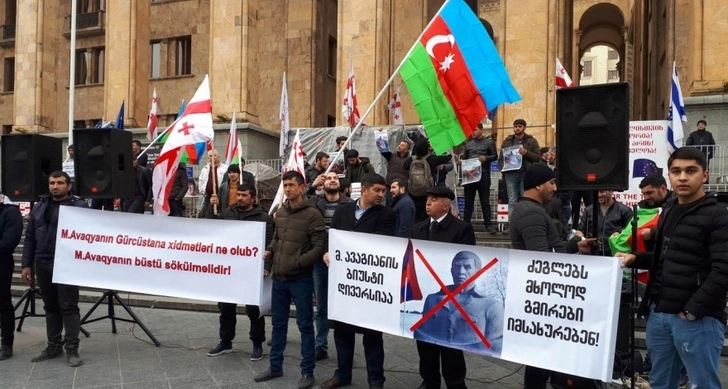 Азербайджанцы и грузины провели совместную акцию протеста в Грузии - ВИДЕО - ОБНОВЛЕНО