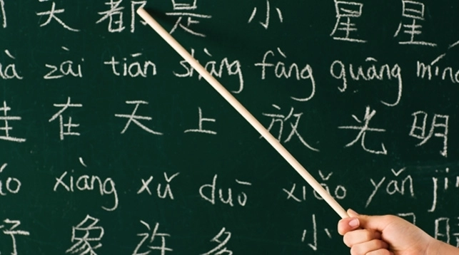 Школьники в Грузии будут изучать китайский язык - ФОТО