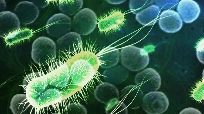 Ученые предсказали массовые эпидемии отравлений и инфекций