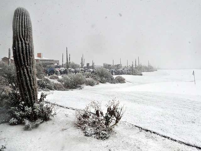 Кактусы в снегу: на штат Аризона обрушился сильнейший снегопад - ВИДЕО