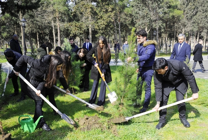 Лейла Алиева приняла участие в акции по посадке деревьев в рамках кампании «Справедливость к Ходжалы!» – ФОТО