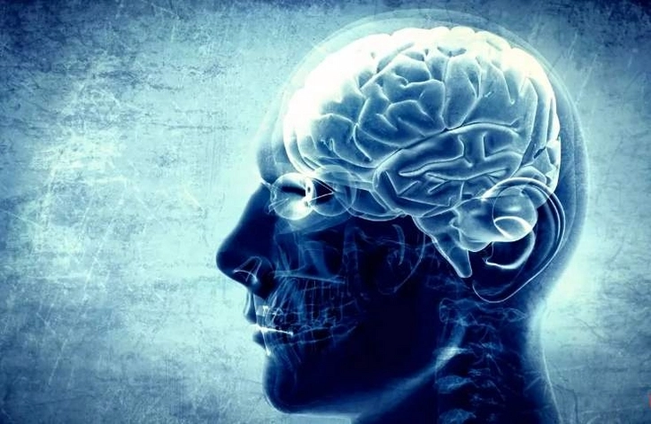 Раскрыты главные причины преждевременного старения мозга
