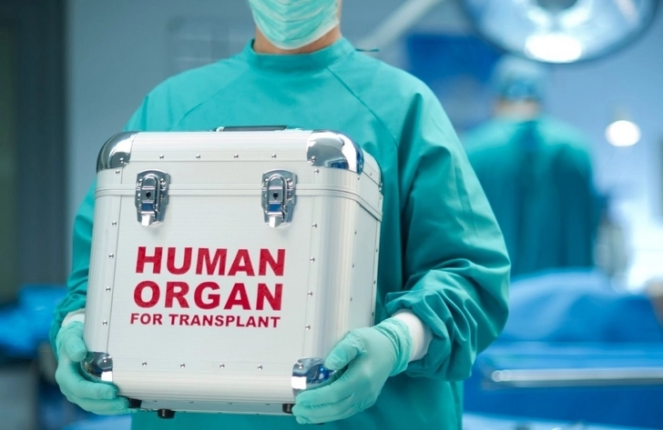 Частные клиники смогут осуществлять изъятие донорских органов и трансплантацию
