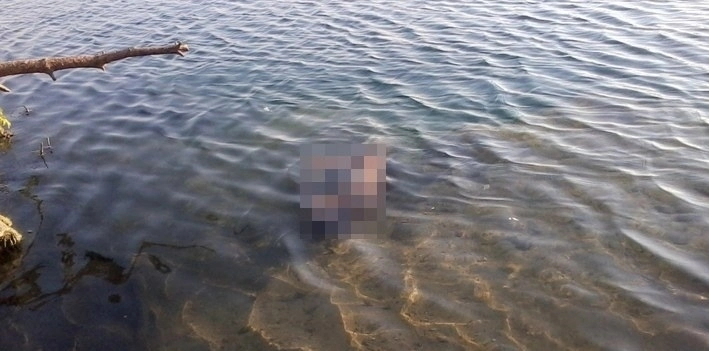 В Лянкяране в реке найден труп мужчины