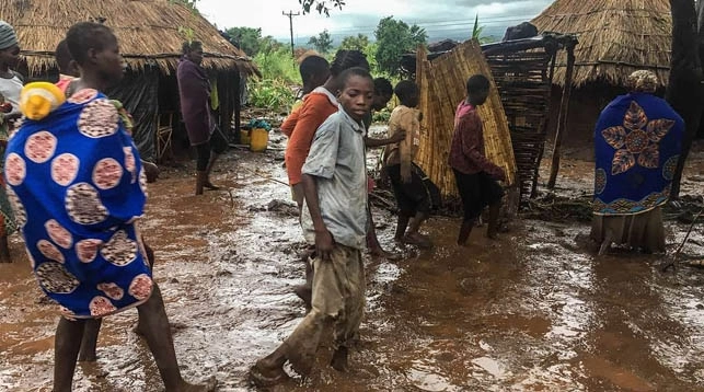 Число погибших в результате циклона в Мозамбике достигло 242