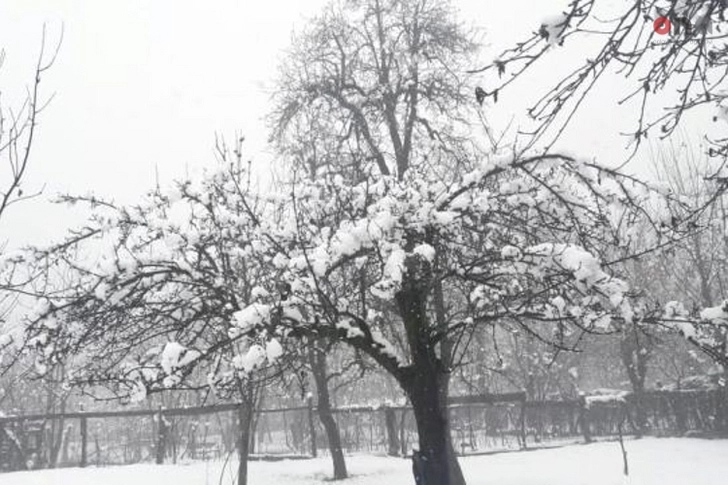 На северо-западе Азербайджана выпал обильный снег - ФОТО