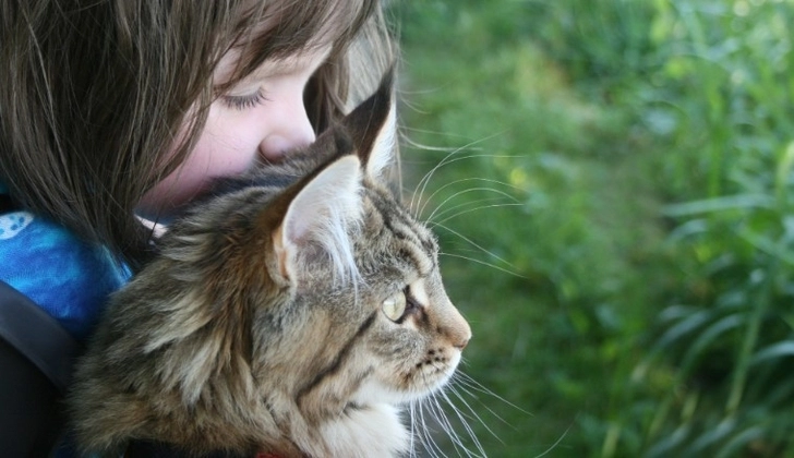Российская школьница сбежала из дома с котом