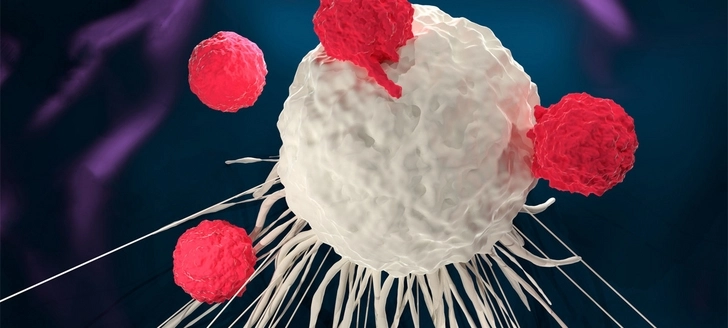 Ученые заставили раковую опухоль убить саму себя