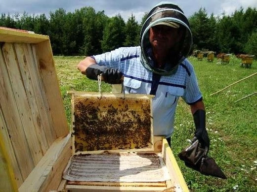 В Азербайджане создадут пчеловодческий туризм