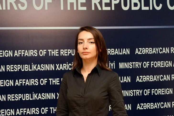МИД: Территориальная целостность Азербайджана не может быть предметом обсуждений