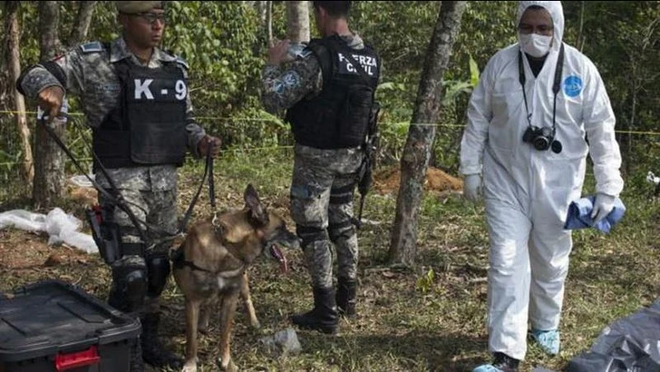 На севере Мексики нашли тайное захоронение с телами 25 пропавших без вести