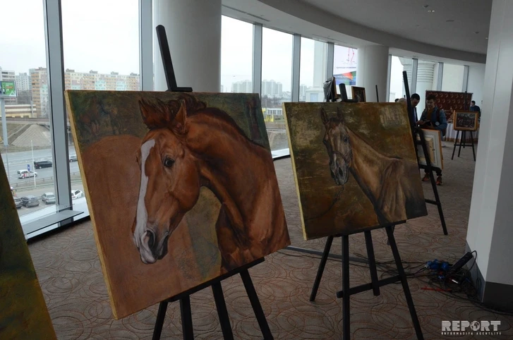 Выставка, посвященная карабахским лошадям, проходит в Москве - ФОТО