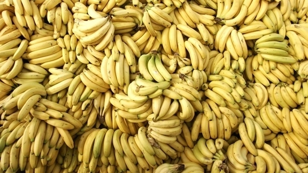 В Нидерландах среди бананов обнаружили 1,6 тонны кокаина
