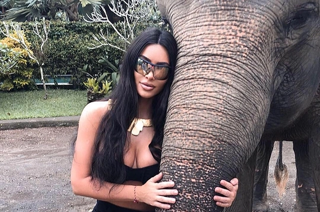 Веганы раскритиковали Ким Кардашьян за фото со слоном: «Он кажется таким несчастным!»