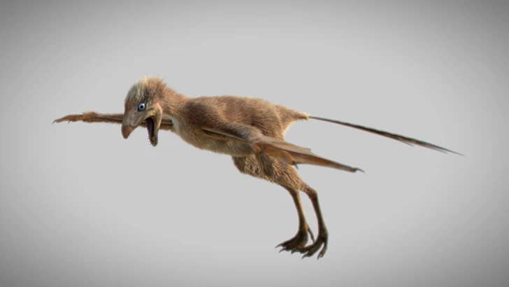 Палеонтологи открыли останки второго «динозавра-бэтмена»