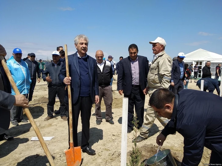 ПЕА и минэкологии Азербайджана провели акцию по посадке деревьев – ФОТО
