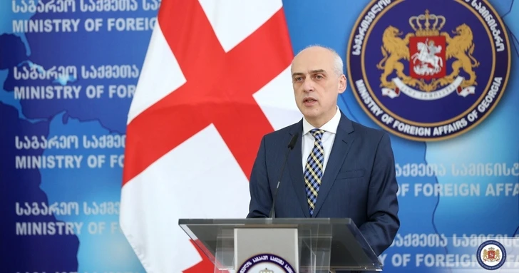 Глава МИД Грузии: Не следует ложно интерпретировать процесс делимитации границ с Азербайджаном