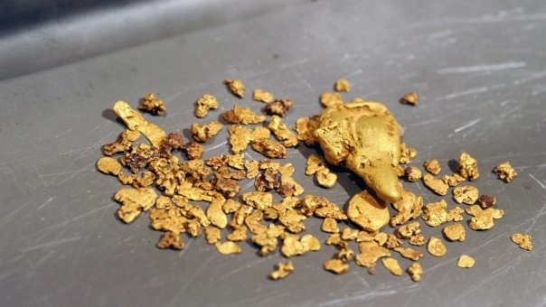 Обнаружены грибы, добывающие из почвы золото