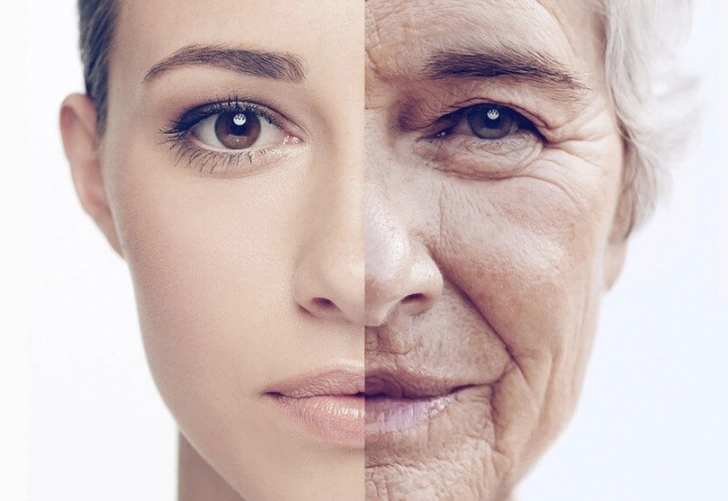 Ученые рассказали, почему организм перестает бороться со старением