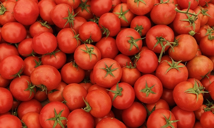 В Россию не пустили десятки тонн томатов из Азербайджана