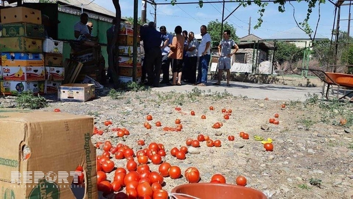 В Грузии не сумевшие продать свой урожай азербайджанцы провели акцию протеста - ФОТО