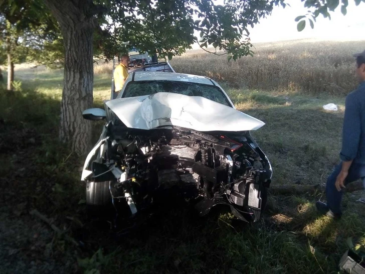 В Огузе автомобиль врезался в дерево, есть погибшие