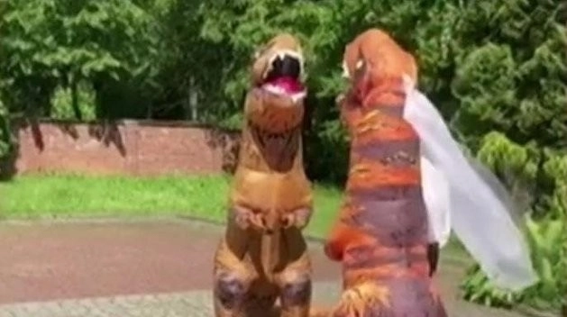 Молодожены пришли в ЗАГС в костюмах тираннозавров и шокировали гостей  – ВИДЕО