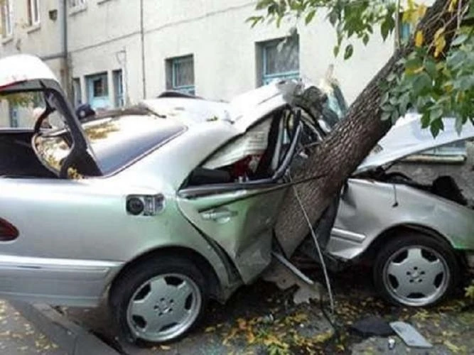 В Агджабеди машина врезалась в дерево, водитель погиб